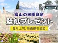 壁紙プレゼント（２０２５年４月） 今月は「ツクシ」「春の四重奏」「春の田 カモメ」