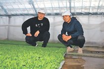 農業課題、ＩＴで解決探る　エンジニアの関原さん（東京）、射水で体験ツアー参加