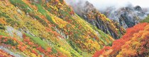 <とやまの紅葉2025 山岳編>剱沢<br />幽谷の岩壁染め