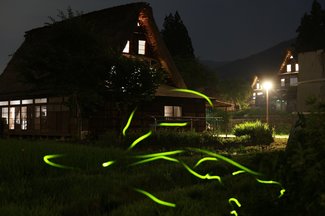 静寂の中　光の軌跡【「五箇山と生きる～世界遺産登録３０年～」夏編】