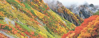 ＜とやまの紅葉２０２５　山岳編＞剱沢<br />幽谷の岩壁染め