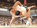 朝乃山、豪栄道を上手投げ　秋場所６日目