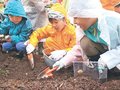 カブトムシの幼虫見つけた！　魚津・天神山ガーデンで親子連れら楽しむ
