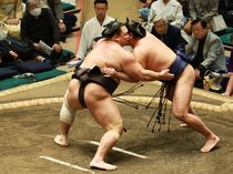 朝乃山、幕内力士として５４５日ぶり白星　大相撲初場所２日目