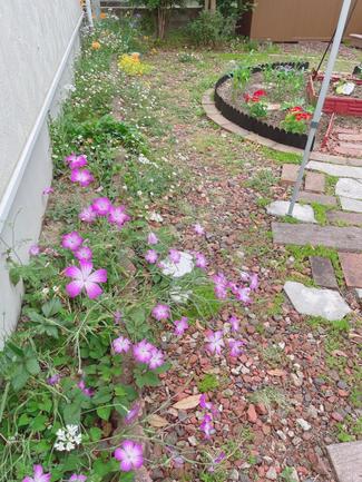 ㉗暮らし彩るハーブチンキ作りにトライ♪【富山でつくる！ポタジェガーデン】