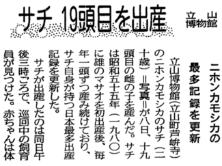 １１月８日の歴史<br />ニホンカモシカ「サチ」が日本最多の１９頭目出産　１９９８年