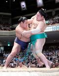 横綱、大関陣そろって２連勝