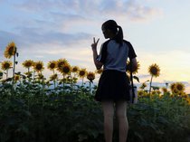 富山市の魅力満載 ✨️フォトモザイクアート