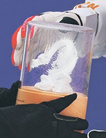 龍モチーフのトロフィー授与　モーグルW杯、井波彫刻から着想