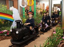 １万２千本、一足早い春演出　砺波・四季彩館でチューリップ展