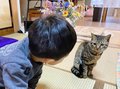猫と過ごす癒やしの時間✨ガレットが豊富なカフェ「Playful空感」【親子でGO！オイシイおでかけ⑪】