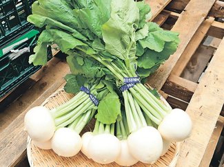 ＜旬を召し上がれ＞カブ<br />丸ごと使って栄養満点