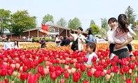満開を迎え、にぎわうとなみチューリップフェア＝砺波チューリップ公園
