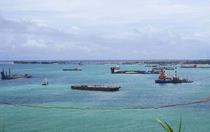 辺野古・大浦湾で埋め立て開始へ