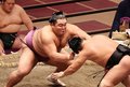 かど番の朝乃山 東大関の２番目　大相撲初場所番付発表