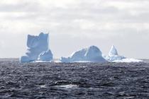 南極のトッテン氷河沖で集中観測