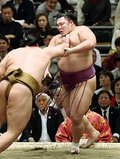 朝乃山、輝に押し出され７敗目　春場所１４日目