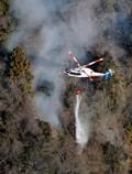 山梨の山林火災、延焼範囲が拡大