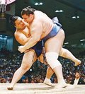 朝乃山、碧山を寄り切り７勝目　名古屋場所８日目
