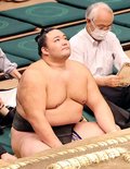 朝乃山、関取復帰へ残り２番
