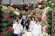 人気の「花の大谷」を満喫し笑顔を見せる来場者