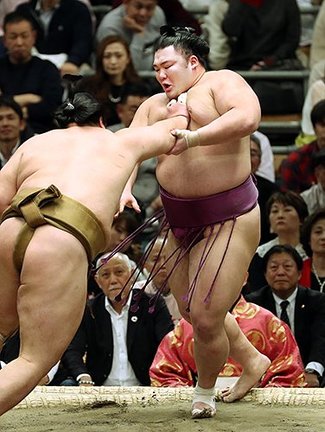 朝乃山、輝に押し出され７敗目　春場所１４日目