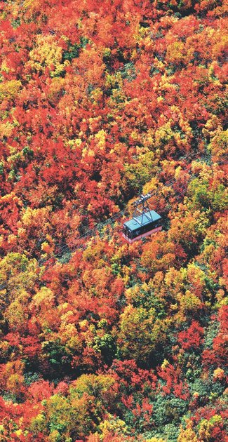 ＜とやまの紅葉２０２５　山岳編＞タンボ平<br />油彩の山肌