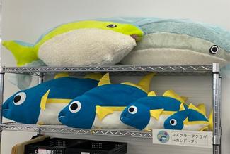 （33）キュートなブリと記念撮影☆願うは我が子の出世！？【やちやちが行く！！】