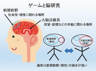 子どものネット依存（３）脳研究