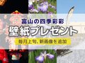 壁紙プレゼント（２０２４年６月）