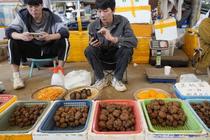 中国、景気低迷でもトリュフ人気