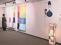 ブラジル美術と融合　駐日大使館、五箇山和紙の作品展示