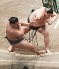 ８日目、綱とり豊昇龍が２敗目