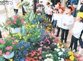 春や笑顔テーマ、３０００本ずらり　県花総合センターでチューリップフェア特別展示