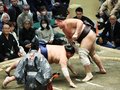 朝乃山、全勝阿炎止めた！　大相撲初場所７日目