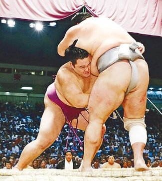 朝乃山、北勝富士寄り切り５勝目　名古屋場所１１日目