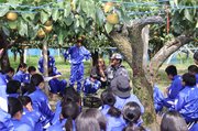 ナシの収穫方法を説明する県富山農林振興センターの職員