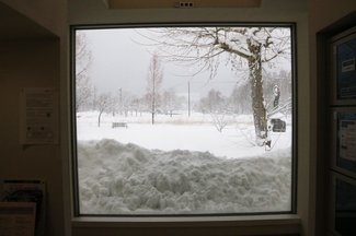 四季折々の自然楽しんで／コレクションへのいざない＋（プラス）＜５＞　黒部市美術館