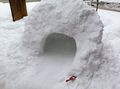 大雪でかまくら作り☃️
