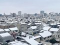 県内各地で積雪　富山１６センチ、高岡２２センチ（３１日午前）
