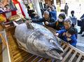 商売繁盛にマグロ奉納、西宮神社
