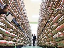 江藤農相、備蓄米の放出拡大検討　大手業者の集荷量低迷