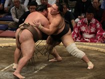 朝乃山が今場所初白星「相手が見えた」　大相撲九州場所３日目
