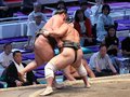 朝乃山完勝、白星先行　大相撲名古屋場所５日目