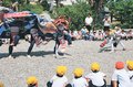 迫力の獅子舞、児童ら歓声　滑川・加積雪嶋神社春季例祭、田中小で披露