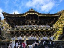日光東照宮へ行ってきました🏯