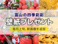 壁紙プレゼント（２０２４年１２月） 今月は「クリスマスの寄せ植え」「完熟イチゴ」「イチョウのじゅうたん」
