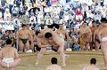 朝乃山の稽古に歓声　射水で高砂部屋合宿