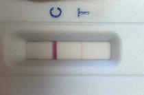 第8波に備えよう！富山県新型コロナ陽性者登録センターって何？感染した記者が登録してみました