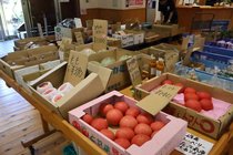 グルメに買い物…。湯上がり後も満喫【サっぱり湯ったり＋（プラス）】１０　グリーンパーク吉峰　ゆ～ランド